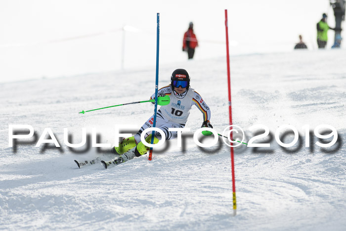 Int. FIS Rennen + NJC  AC Damen, FIS SG, Götschen, 01.02.2019