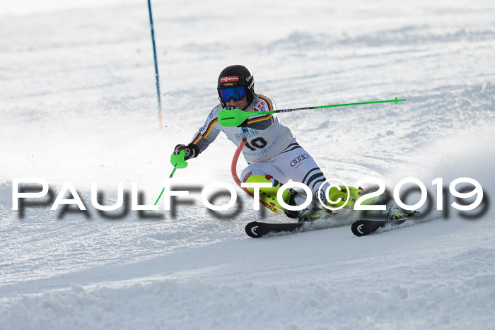 Int. FIS Rennen + NJC  AC Damen, FIS SG, Götschen, 01.02.2019