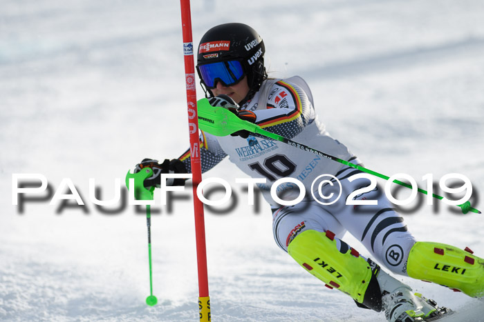 Int. FIS Rennen + NJC  AC Damen, FIS SG, Götschen, 01.02.2019