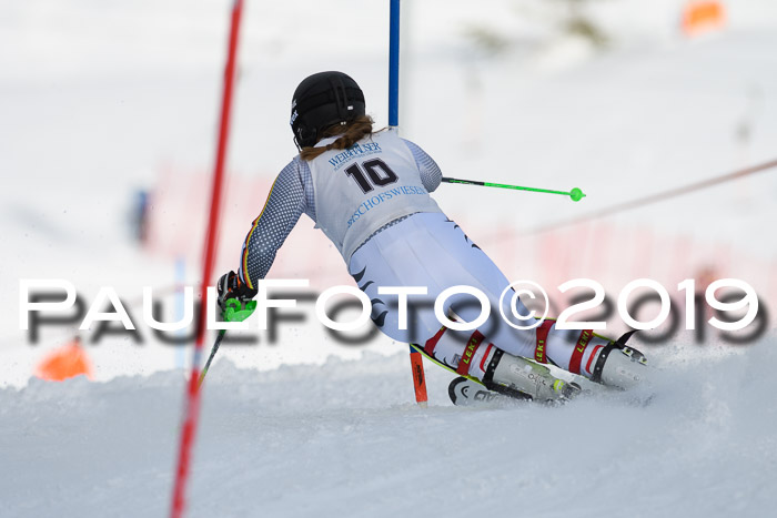 Int. FIS Rennen + NJC  AC Damen, FIS SG, Götschen, 01.02.2019