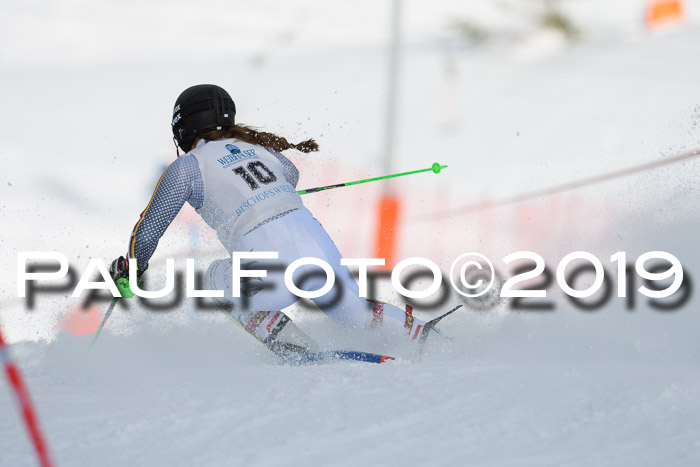 Int. FIS Rennen + NJC  AC Damen, FIS SG, Götschen, 01.02.2019