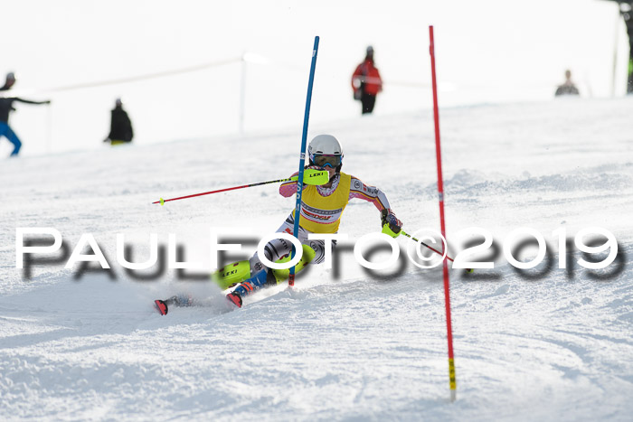 Int. FIS Rennen + NJC  AC Damen, FIS SG, Götschen, 01.02.2019