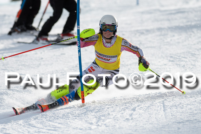 Int. FIS Rennen + NJC  AC Damen, FIS SG, Götschen, 01.02.2019