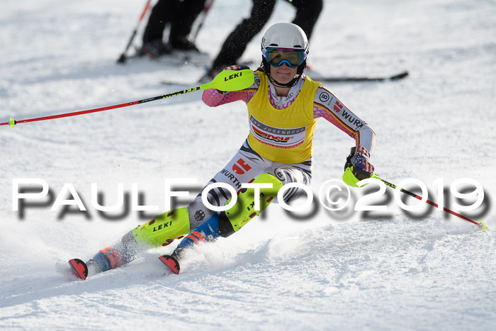 Int. FIS Rennen + NJC  AC Damen, FIS SG, Götschen, 01.02.2019