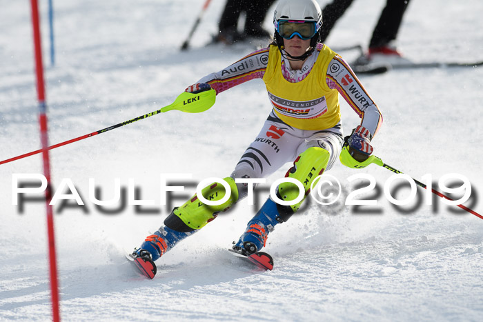Int. FIS Rennen + NJC  AC Damen, FIS SG, Götschen, 01.02.2019