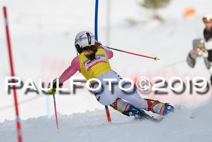 Int. FIS Rennen + NJC  AC Damen, FIS SG, Götschen, 01.02.2019