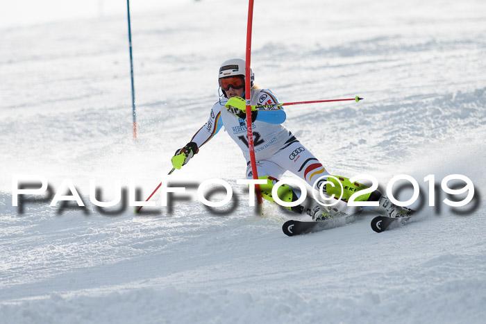 Int. FIS Rennen + NJC  AC Damen, FIS SG, Götschen, 01.02.2019