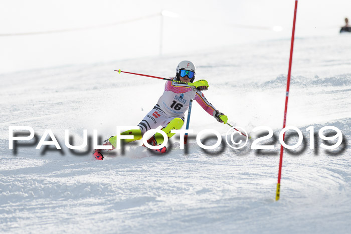 Int. FIS Rennen + NJC  AC Damen, FIS SG, Götschen, 01.02.2019