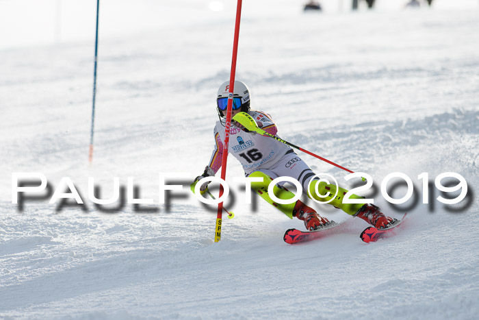 Int. FIS Rennen + NJC  AC Damen, FIS SG, Götschen, 01.02.2019