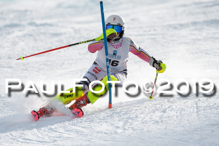 Int. FIS Rennen + NJC  AC Damen, FIS SG, Götschen, 01.02.2019
