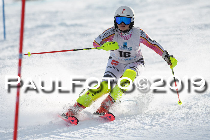 Int. FIS Rennen + NJC  AC Damen, FIS SG, Götschen, 01.02.2019