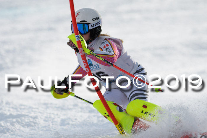 Int. FIS Rennen + NJC  AC Damen, FIS SG, Götschen, 01.02.2019