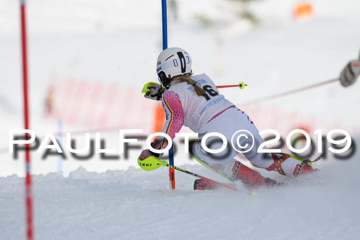 Int. FIS Rennen + NJC  AC Damen, FIS SG, Götschen, 01.02.2019