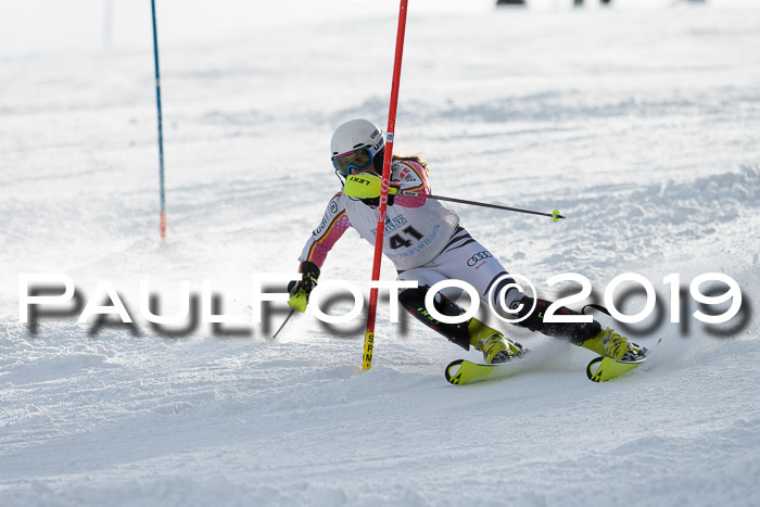 Int. FIS Rennen + NJC  AC Damen, FIS SG, Götschen, 01.02.2019