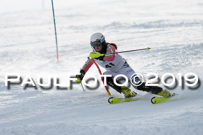 Int. FIS Rennen + NJC  AC Damen, FIS SG, Götschen, 01.02.2019