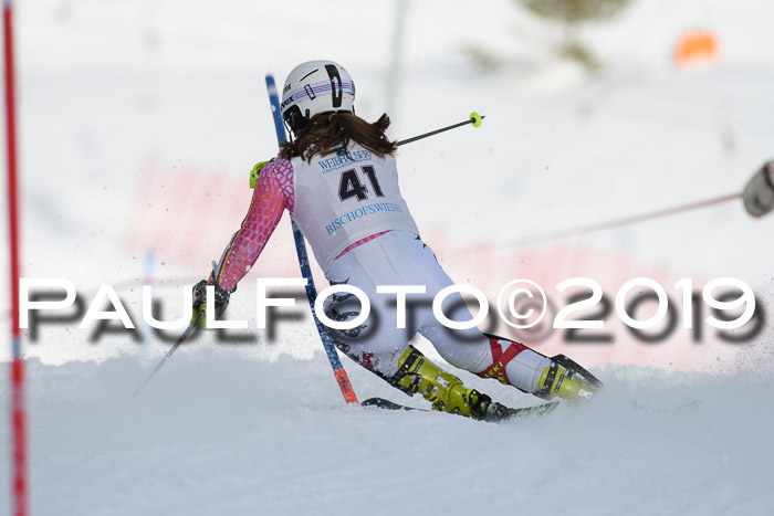 Int. FIS Rennen + NJC  AC Damen, FIS SG, Götschen, 01.02.2019