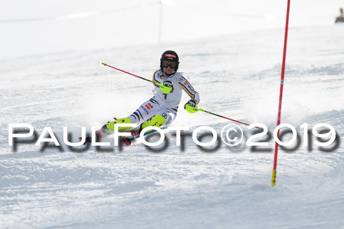 Int. FIS Rennen + NJC  AC Damen, FIS SG, Götschen, 01.02.2019