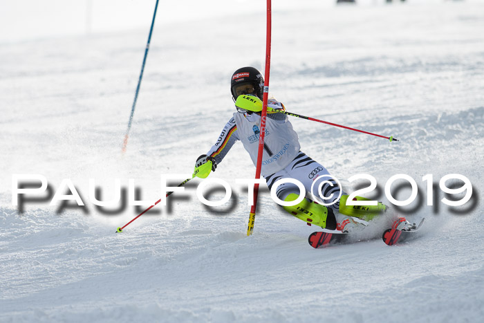 Int. FIS Rennen + NJC  AC Damen, FIS SG, Götschen, 01.02.2019