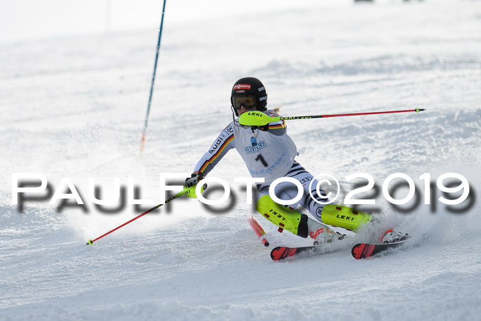 Int. FIS Rennen + NJC  AC Damen, FIS SG, Götschen, 01.02.2019