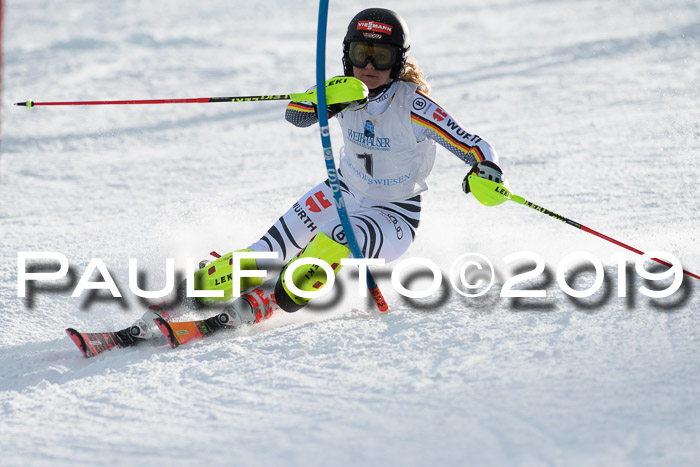 Int. FIS Rennen + NJC  AC Damen, FIS SG, Götschen, 01.02.2019