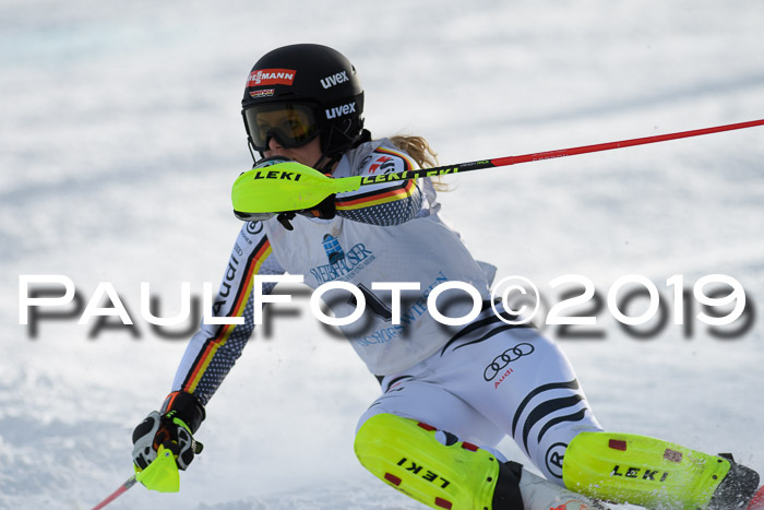 Int. FIS Rennen + NJC  AC Damen, FIS SG, Götschen, 01.02.2019