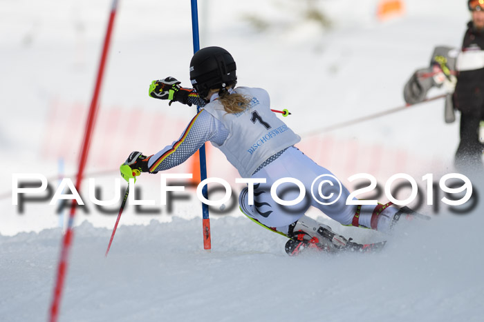 Int. FIS Rennen + NJC  AC Damen, FIS SG, Götschen, 01.02.2019