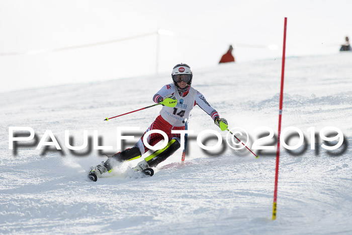 Int. FIS Rennen + NJC  AC Damen, FIS SG, Götschen, 01.02.2019