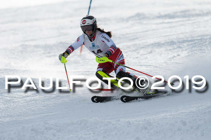 Int. FIS Rennen + NJC  AC Damen, FIS SG, Götschen, 01.02.2019