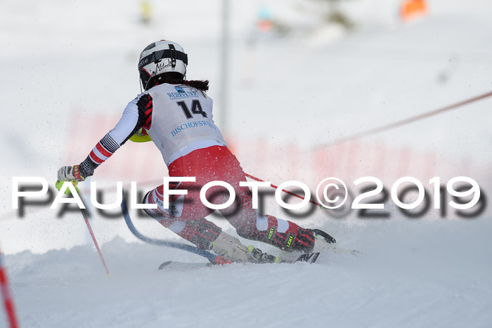 Int. FIS Rennen + NJC  AC Damen, FIS SG, Götschen, 01.02.2019