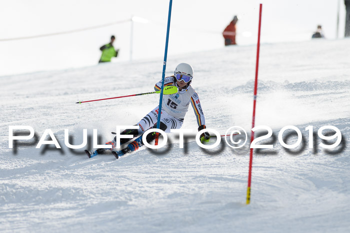 Int. FIS Rennen + NJC  AC Damen, FIS SG, Götschen, 01.02.2019