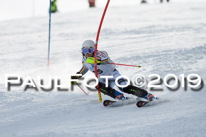 Int. FIS Rennen + NJC  AC Damen, FIS SG, Götschen, 01.02.2019