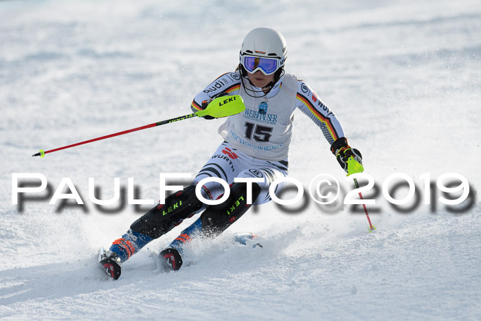 Int. FIS Rennen + NJC  AC Damen, FIS SG, Götschen, 01.02.2019