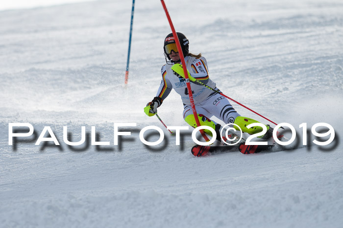 Int. FIS Rennen + NJC  AC Damen, FIS SG, Götschen, 01.02.2019