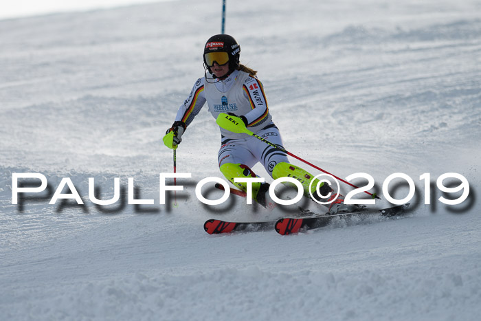 Int. FIS Rennen + NJC  AC Damen, FIS SG, Götschen, 01.02.2019