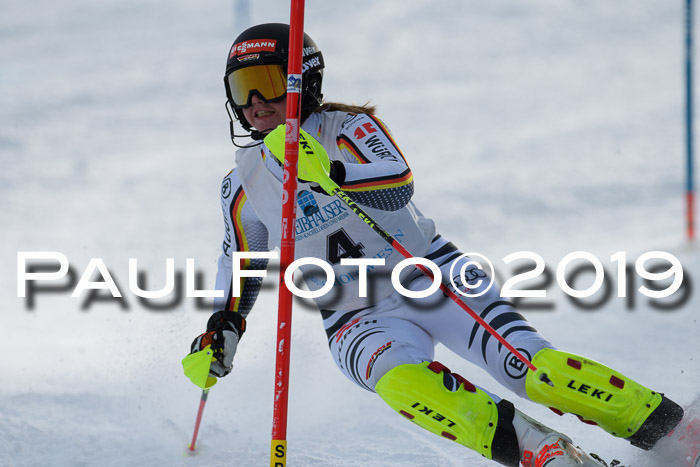 Int. FIS Rennen + NJC  AC Damen, FIS SG, Götschen, 01.02.2019