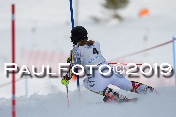 Int. FIS Rennen + NJC  AC Damen, FIS SG, Götschen, 01.02.2019