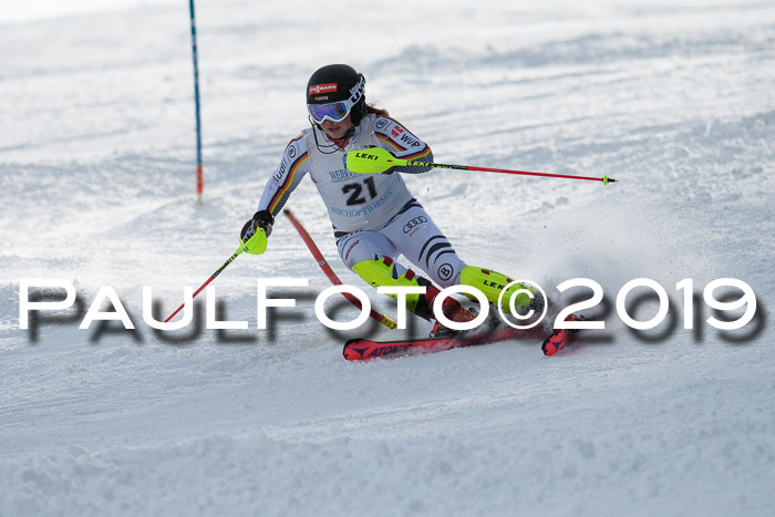 Int. FIS Rennen + NJC  AC Damen, FIS SG, Götschen, 01.02.2019