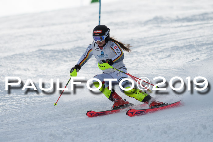Int. FIS Rennen + NJC  AC Damen, FIS SG, Götschen, 01.02.2019