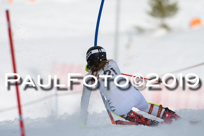 Int. FIS Rennen + NJC  AC Damen, FIS SG, Götschen, 01.02.2019