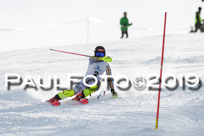 Int. FIS Rennen + NJC  AC Damen, FIS SG, Götschen, 01.02.2019