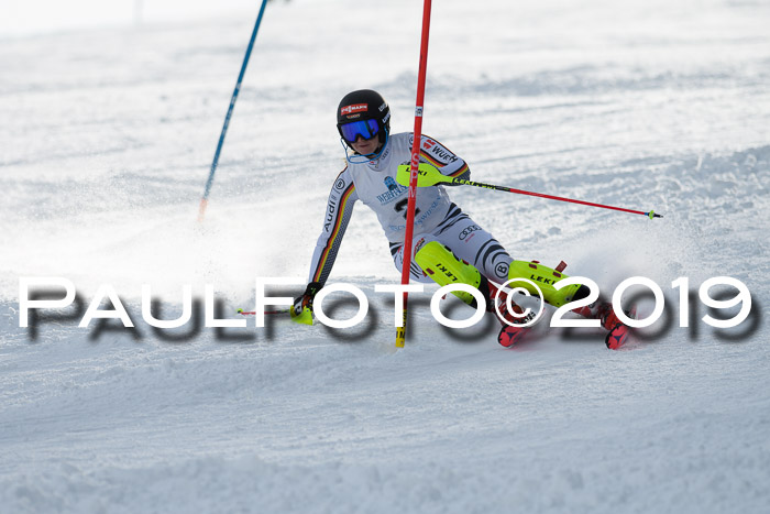 Int. FIS Rennen + NJC  AC Damen, FIS SG, Götschen, 01.02.2019