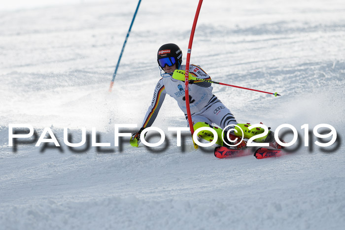 Int. FIS Rennen + NJC  AC Damen, FIS SG, Götschen, 01.02.2019