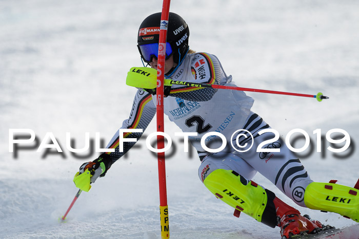 Int. FIS Rennen + NJC  AC Damen, FIS SG, Götschen, 01.02.2019