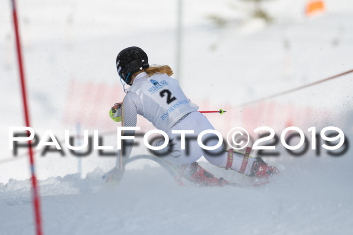 Int. FIS Rennen + NJC  AC Damen, FIS SG, Götschen, 01.02.2019