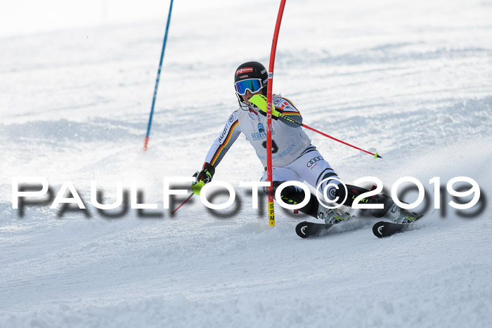 Int. FIS Rennen + NJC  AC Damen, FIS SG, Götschen, 01.02.2019