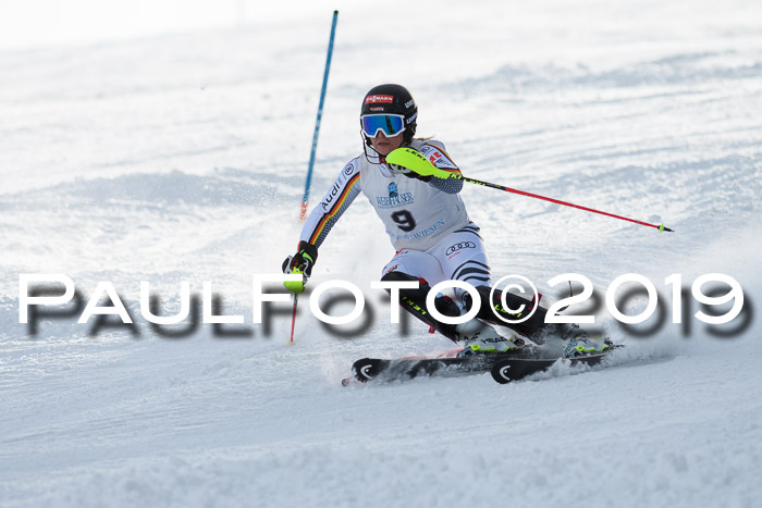 Int. FIS Rennen + NJC  AC Damen, FIS SG, Götschen, 01.02.2019