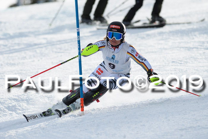 Int. FIS Rennen + NJC  AC Damen, FIS SG, Götschen, 01.02.2019