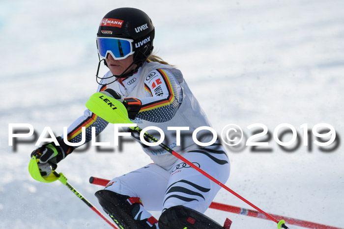 Int. FIS Rennen + NJC  AC Damen, FIS SG, Götschen, 01.02.2019
