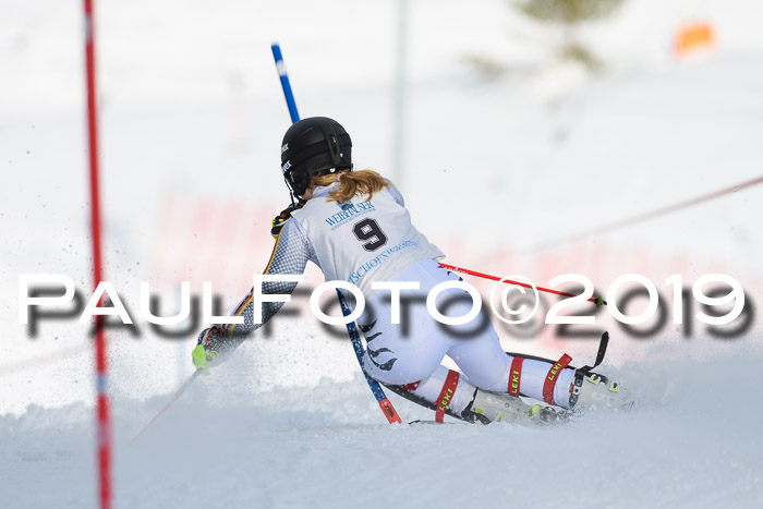 Int. FIS Rennen + NJC  AC Damen, FIS SG, Götschen, 01.02.2019