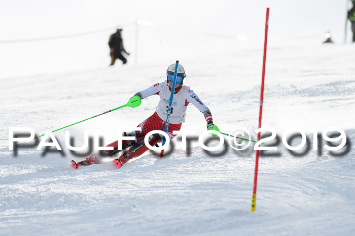 Int. FIS Rennen + NJC  AC Damen, FIS SG, Götschen, 01.02.2019